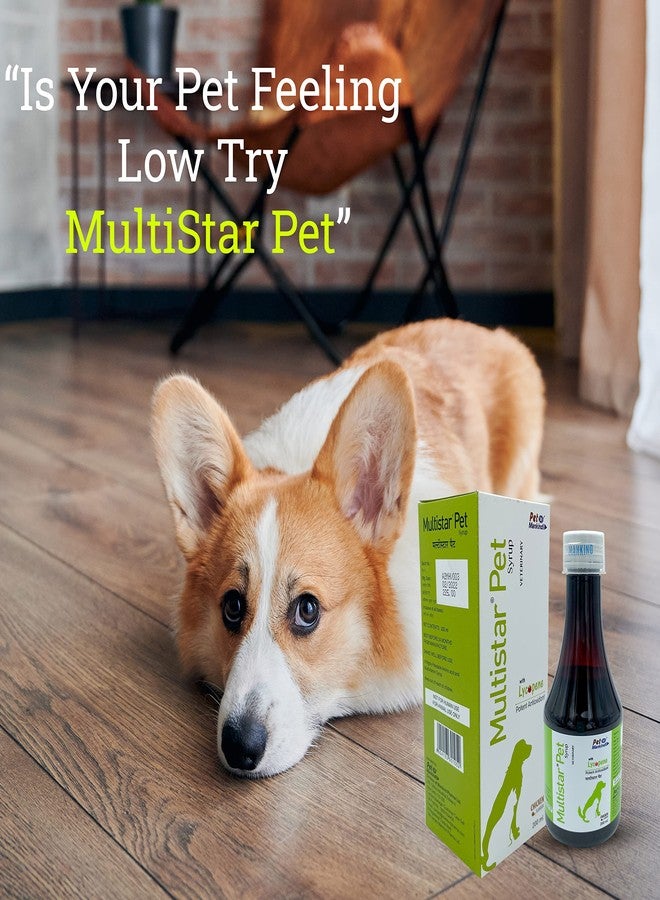 ALP Multistar Pet Syrup with Lycopene| Potent Antioxidant| Highly Palatable Amino Acid & Multivitamin Syrup| Chicken Flavoured| Dog Supplement| 200ML (Pack of 2) - Image 2